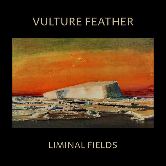 Vulture Feather - Liminal Fields [Bone Coloured Vinyl]