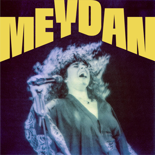 Meral Polat - MEYDAN [LP]