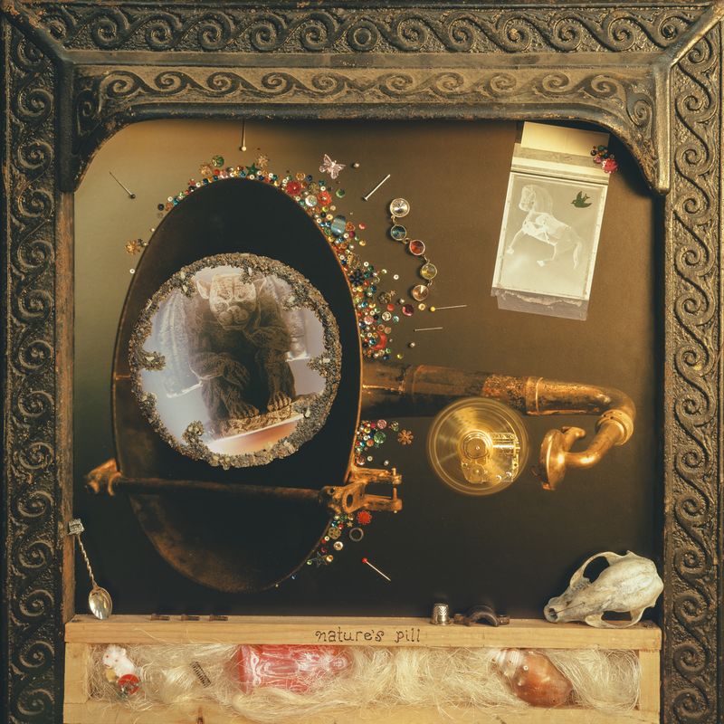 Wishy - Nature's Pill [CD]