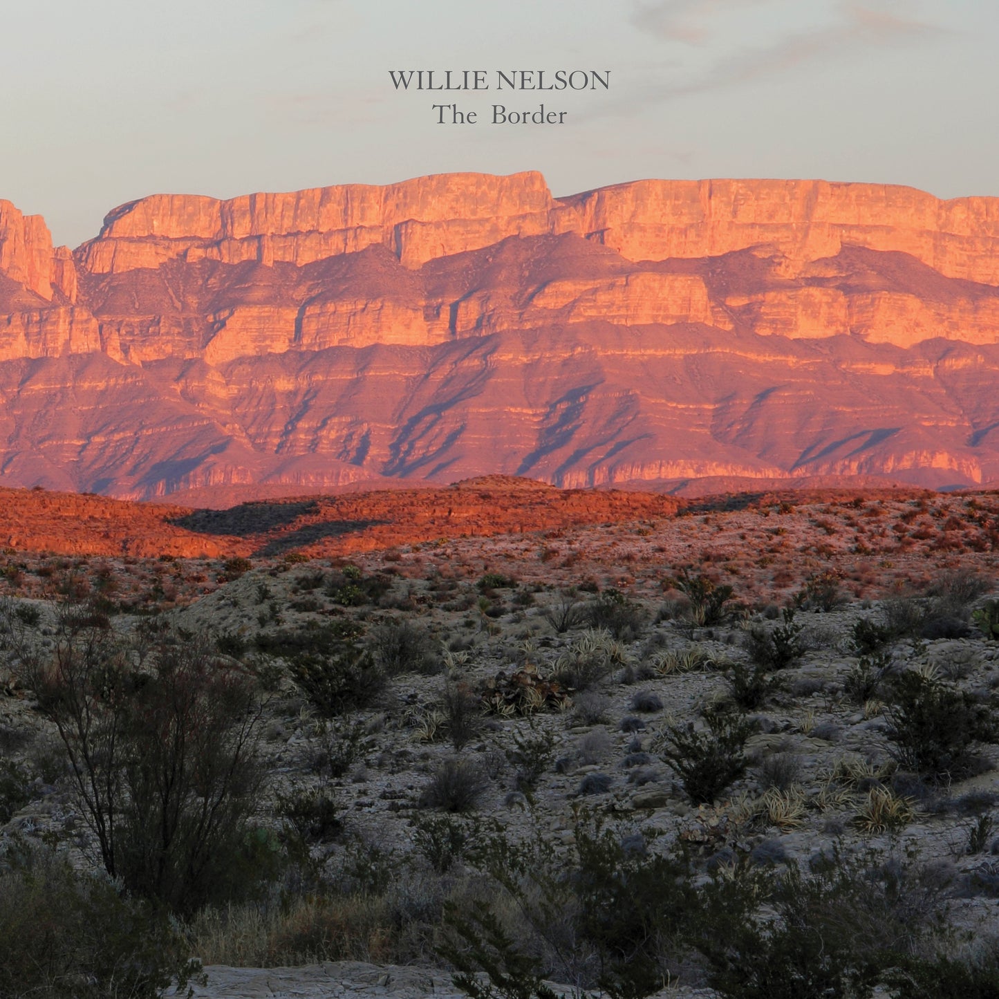 Willie Nelson - The Border [LP]