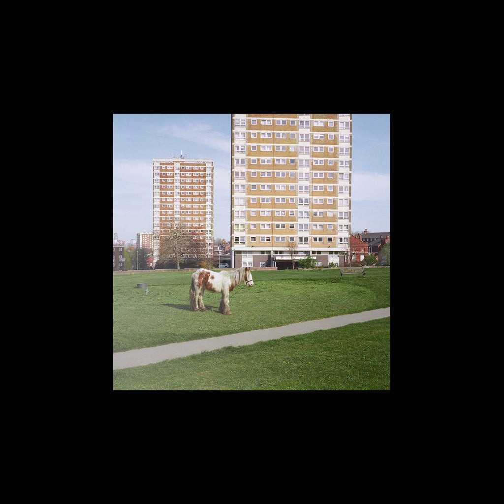 Westside Cowboy - It Goes On [CD]
