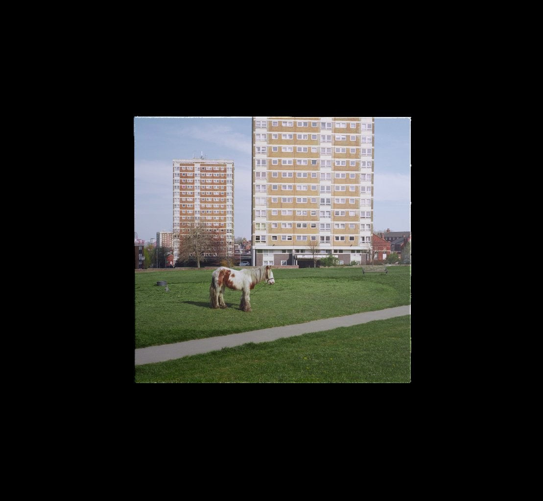 Westside Cowboy - It Goes On [Red LP]