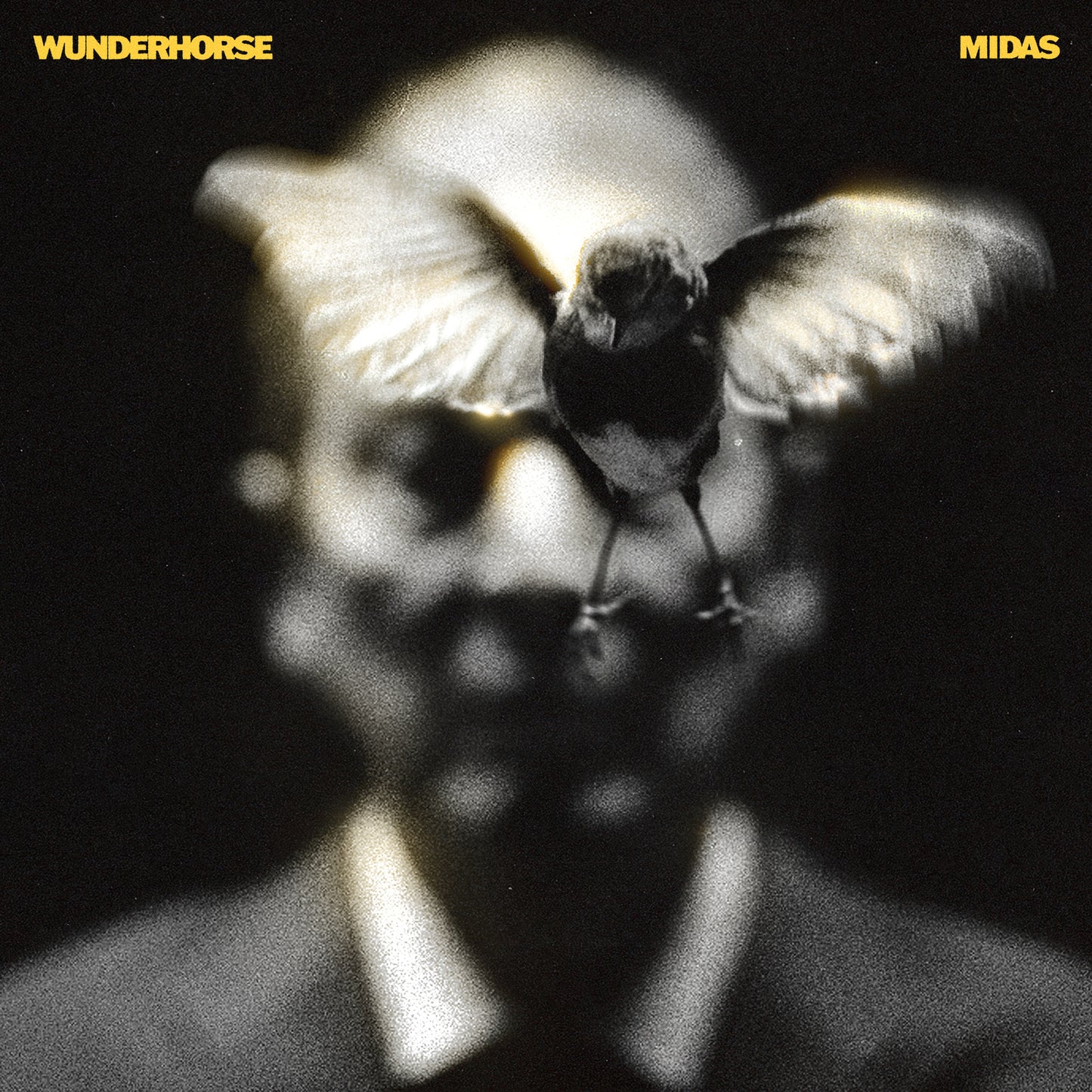 Wunderhorse - Midas [CD]