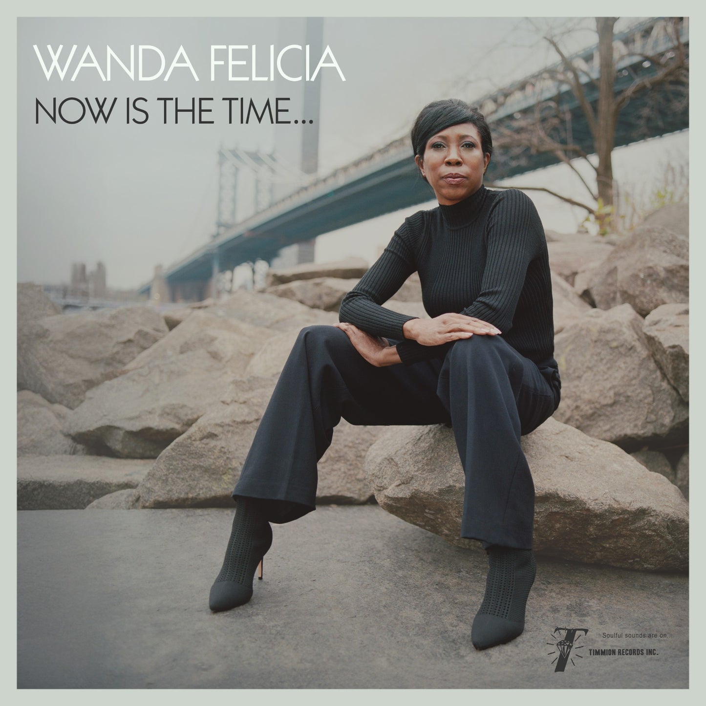 Wanda Felicia & Cold Diamond & Mink - Now Is The Time [Transparent Pink Vinyl]