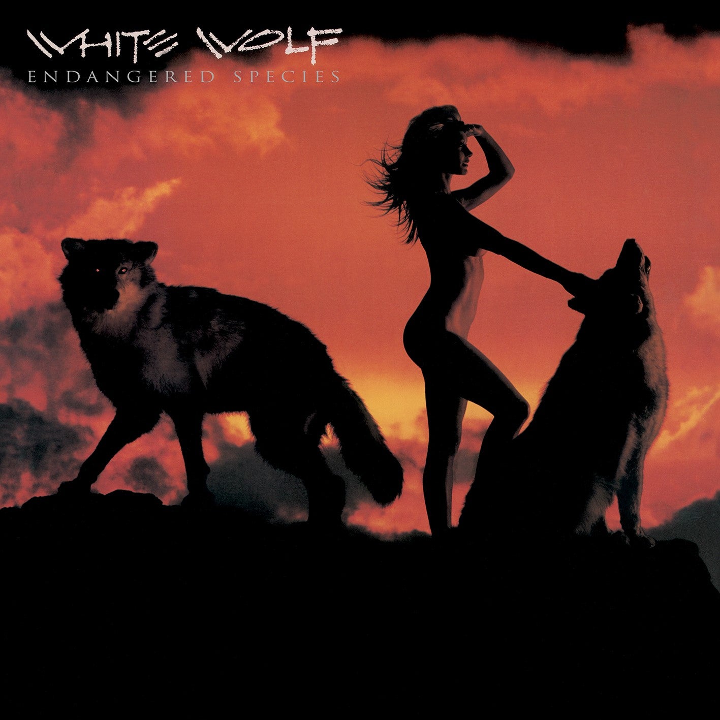 White Wolf - Endangered Species [CD]