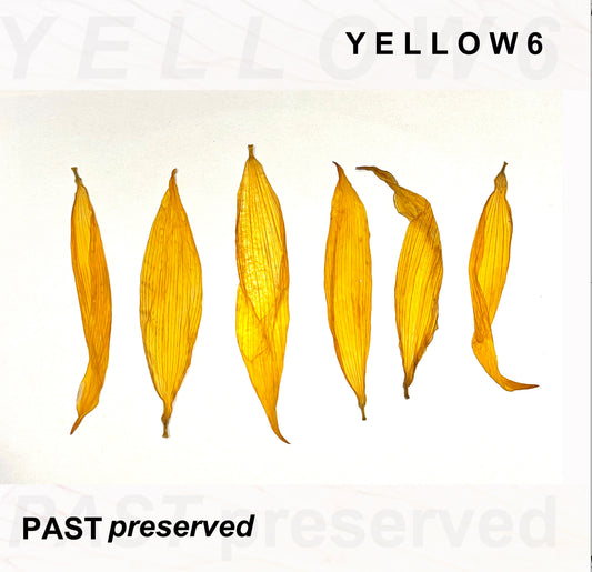 Yellow6 - Past Preserved [CD]