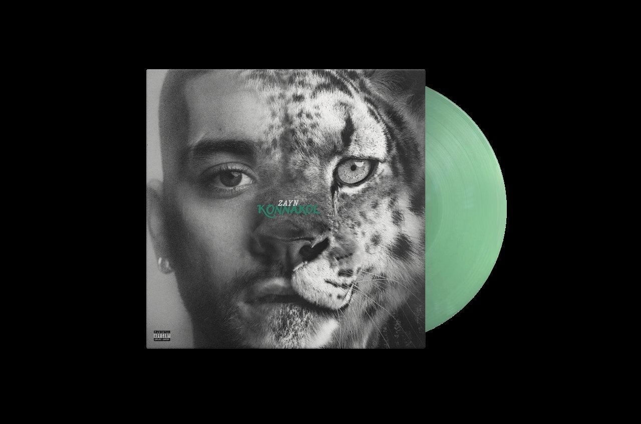 ZAYN - Konnakol [Swimming Through The Seas LP]