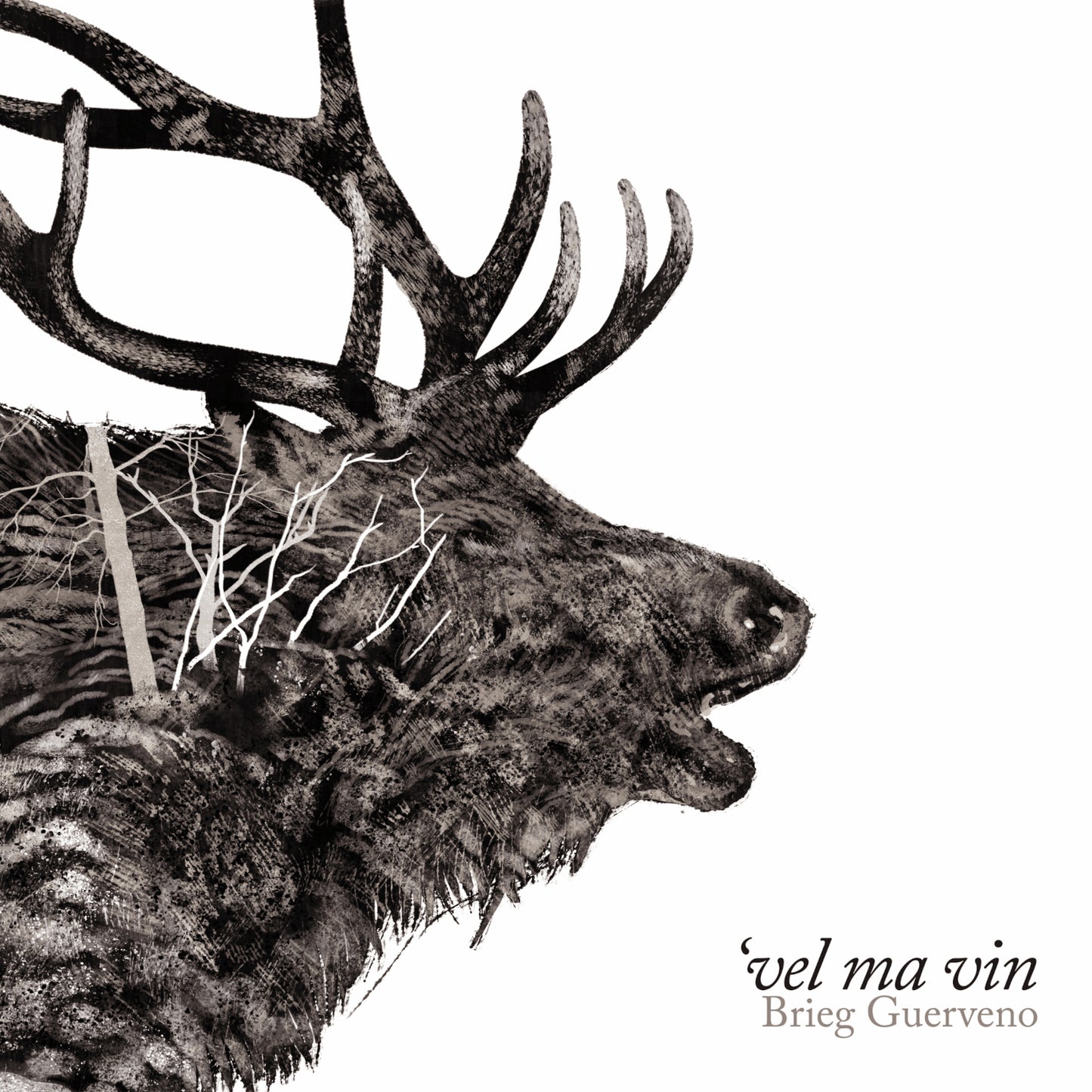 Brieg Guerveno - Vel Ma Vin [CD]