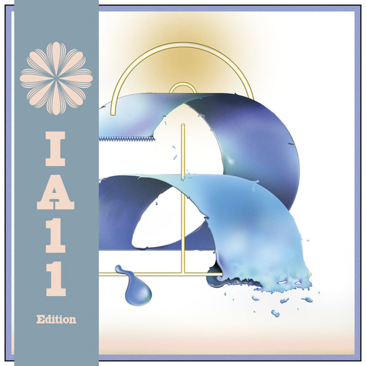 Carlos Niño & Miguel Atwood-Ferguson - Chicago Waves (IA11 Edition)