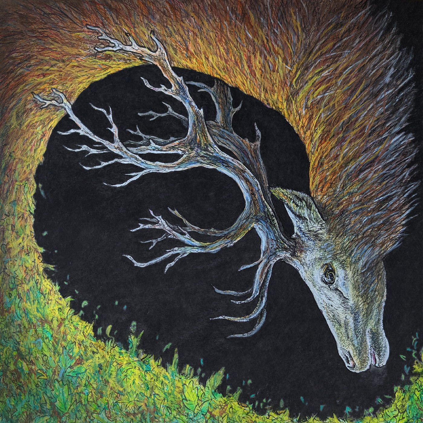Petrels - Infangthief [CD]