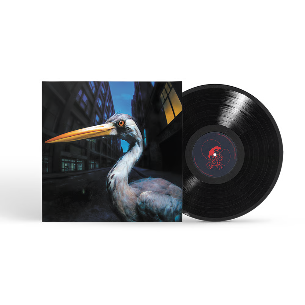Antony Szmierek - Decoding Birdsong [LP]