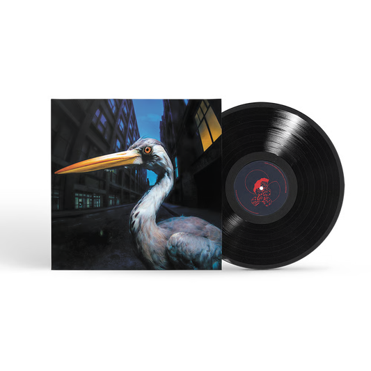 Antony Szmierek - Decoding Birdsong [LP]