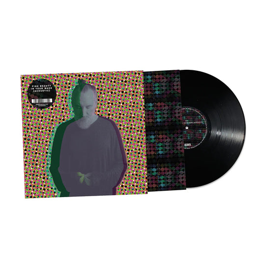 Fink - Beauty In Your Wake Acoustic [LP]