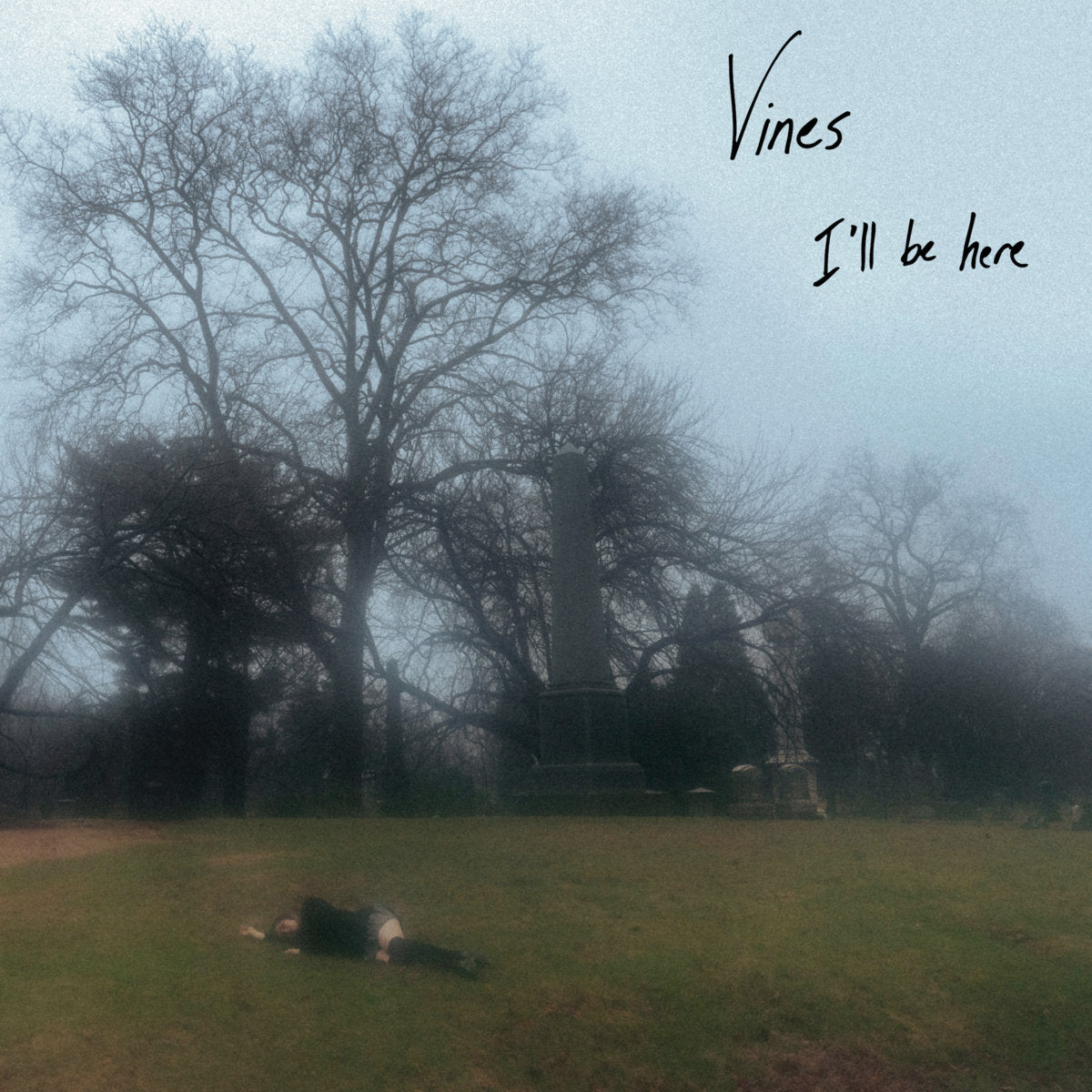 Vines - I'll Be Here [Clouded Coloured Vinyl]