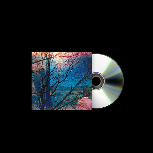 Idlewild - Idlewild [CD]