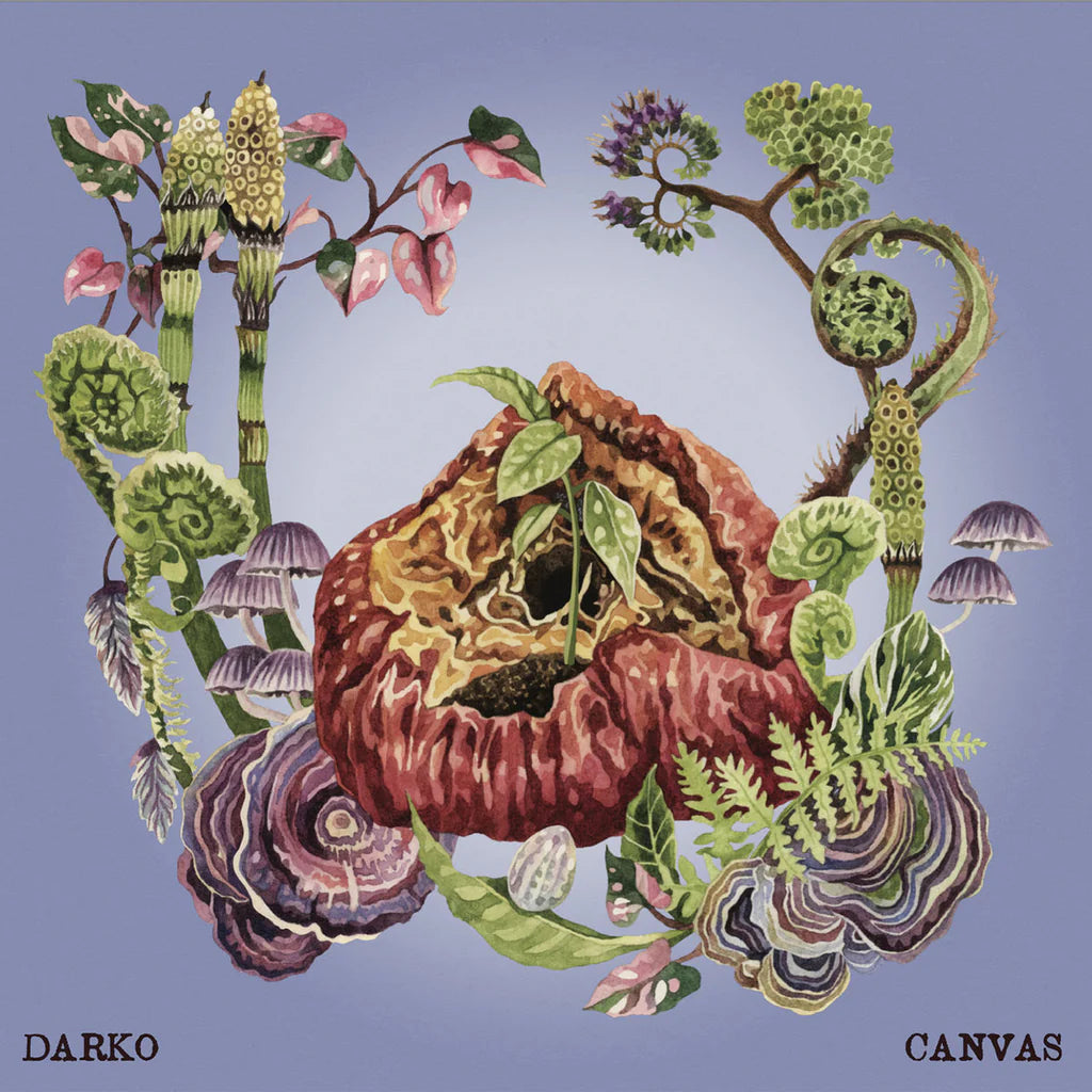 DARKO - Canvas [12” EP eco-conscious pink/purple mix]