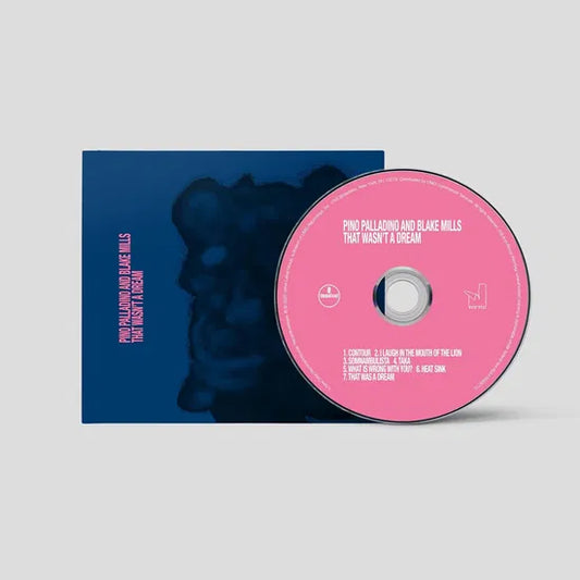 Pino Palladino & Blake Mills - That Wasn't a Dream [CD]