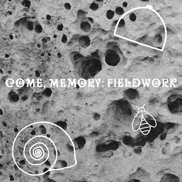Katrina Niebergal & Bergur Anderson - come, Memory: fieldwork