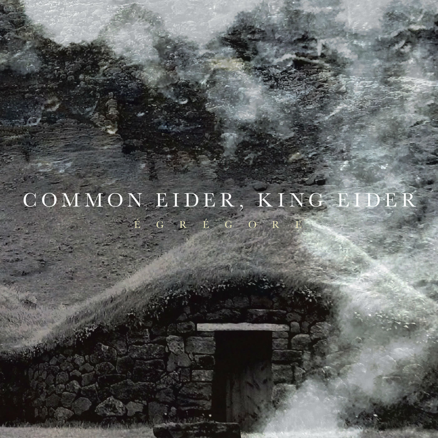 Common Eider, King Eider - Égrégore [CD]