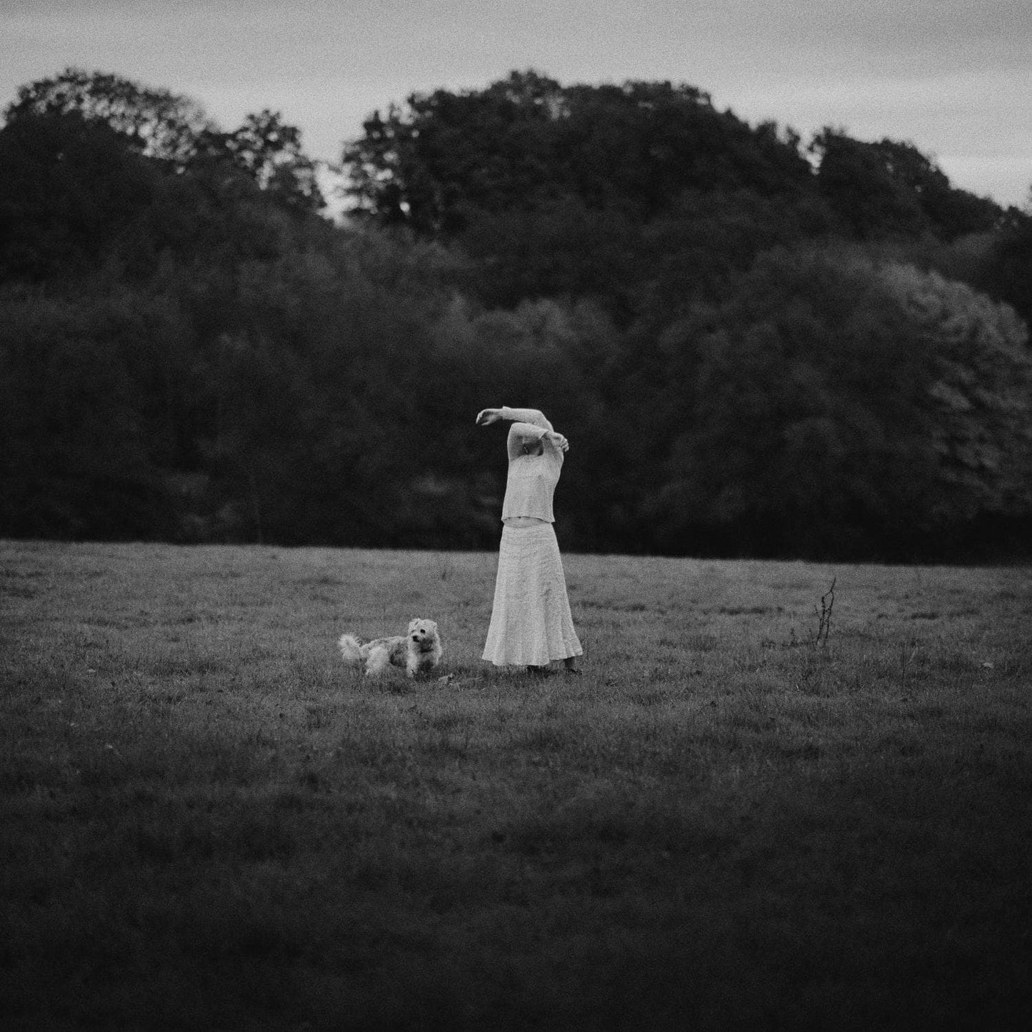 Yoshika Colwell - On The Wing [LP]