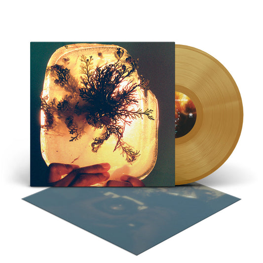 L'Rain - fata morgana [Rose of Jericho Glow (gold)]