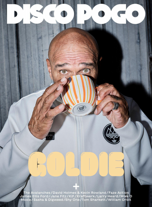 Disco Pogo - Issue 10 (Goldie Cover)