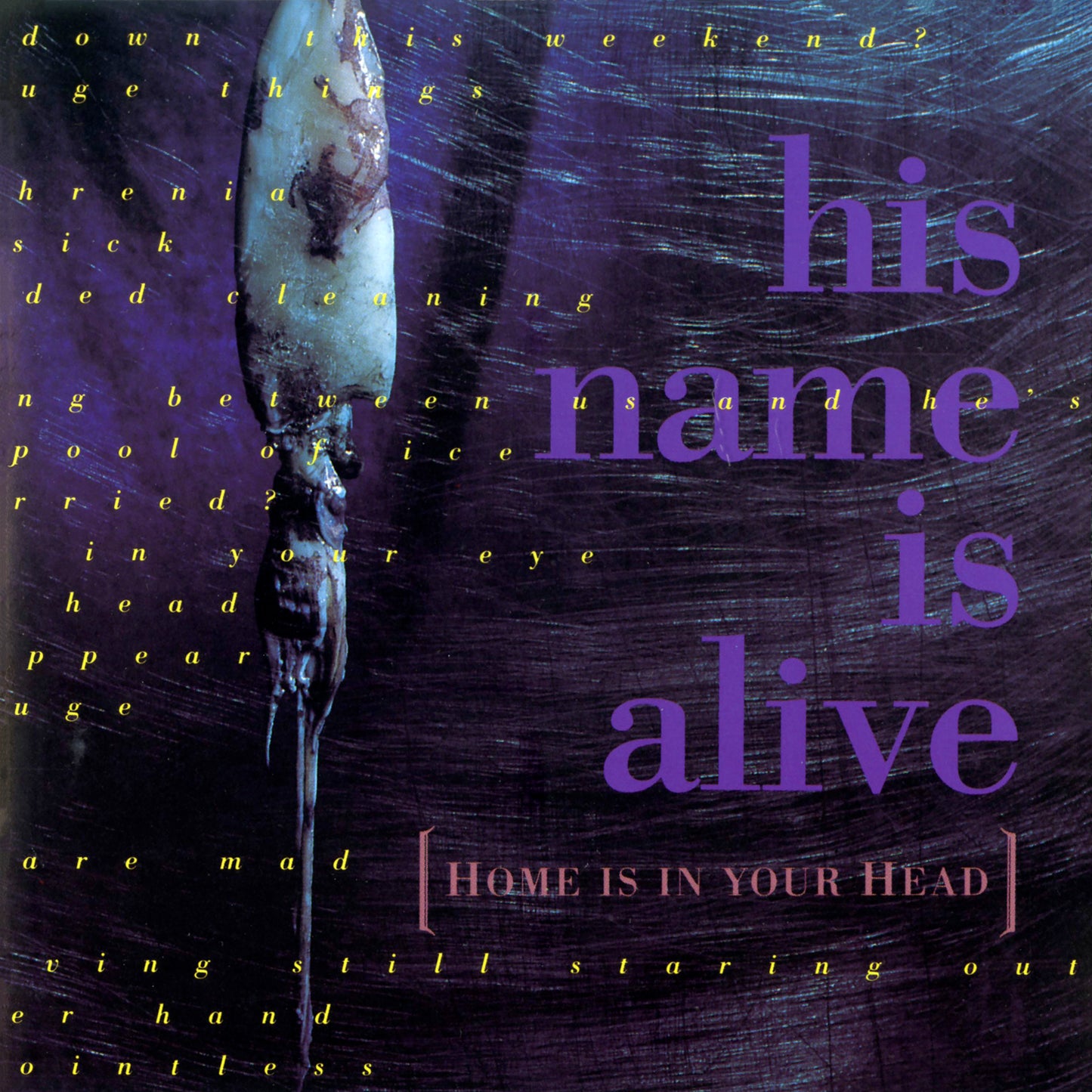 His Name Is Alive - Home Is In Your Head (2024 Remastered Edition) [CD]