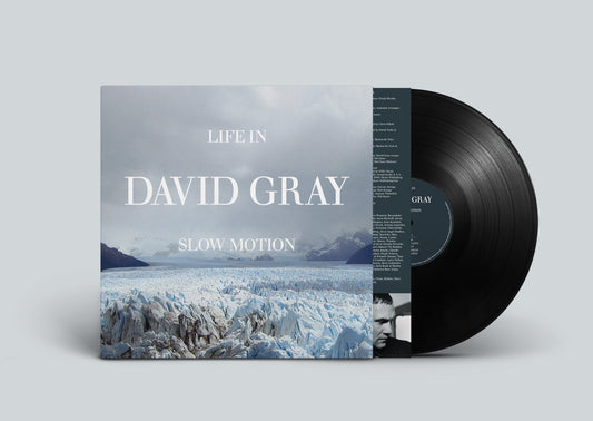 David Gray - Life in Slow Motion (20th Anniversary Edition) [LP]