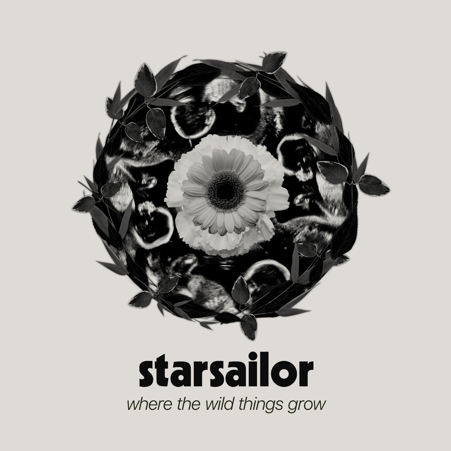 Starsailor - Where The Wild Things Grow [CD]