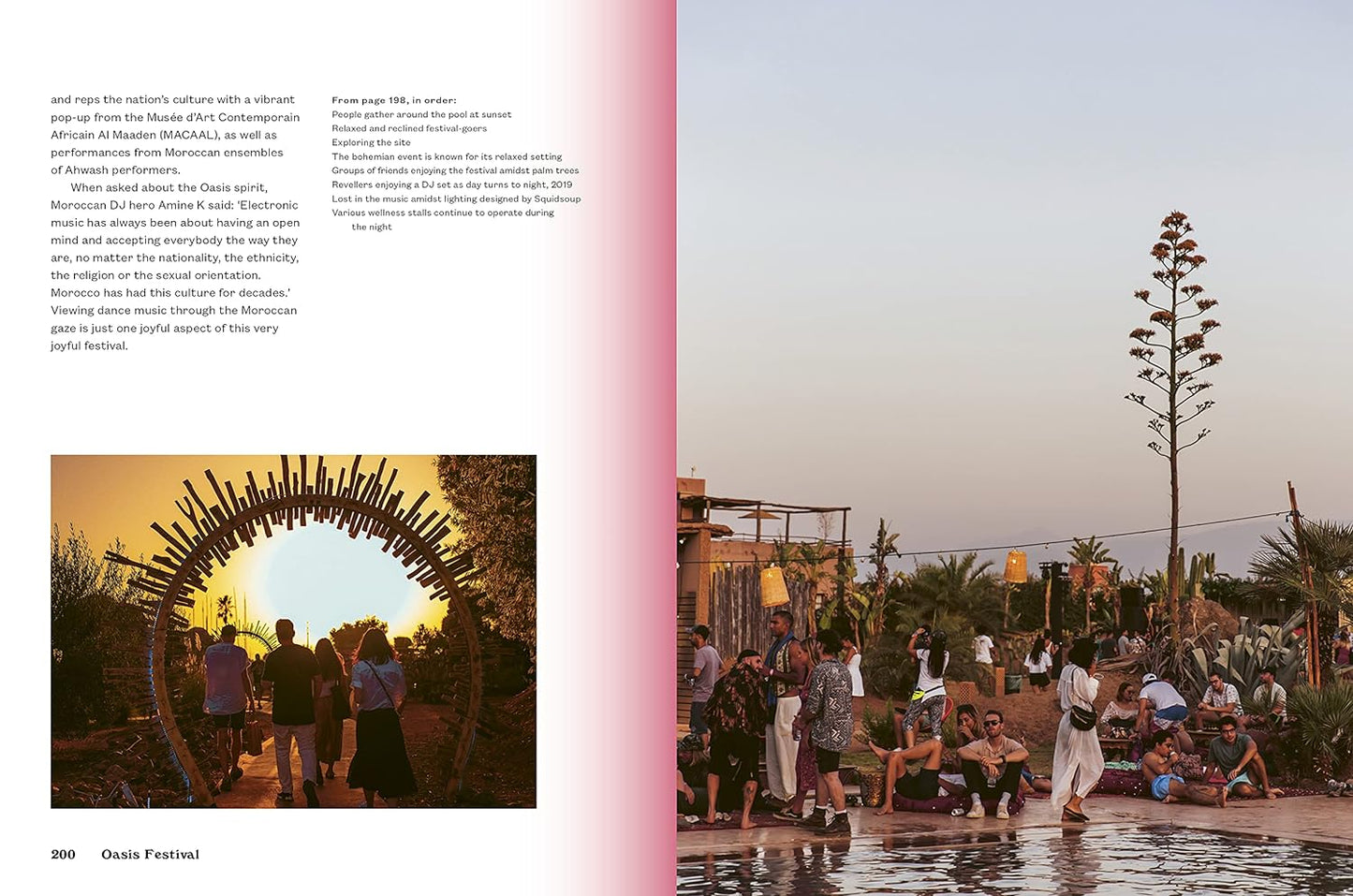 FESTIVALS - A Music Lover's Guide To The Festivals You Need To Know [Paperback Book]