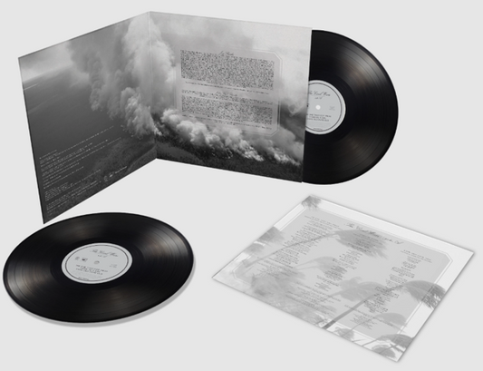Civil Wars - Civil Wars (2LP Black)