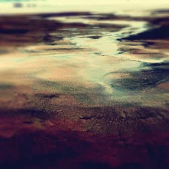 LOULA YORKE - HYDROLOGY [CD]