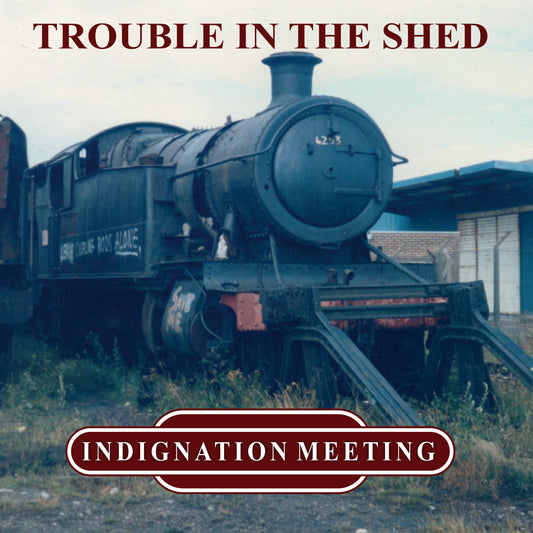 Indignation Meeting - Trouble In The Shed [Green Vinyl]