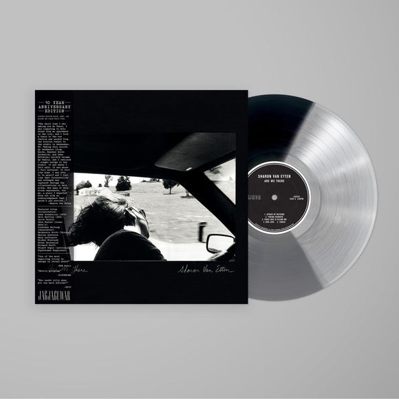 Sharon Van Etten - Are We There (10 Year Anniversary Edition) [Black, Grey, and Silver Tri-Color Split Vinyl]