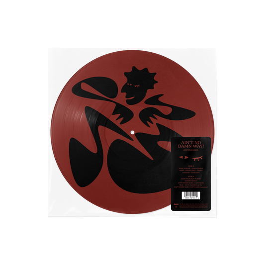 Kaytranada - Ain't No Damn Way! [Picture Disc LP]
