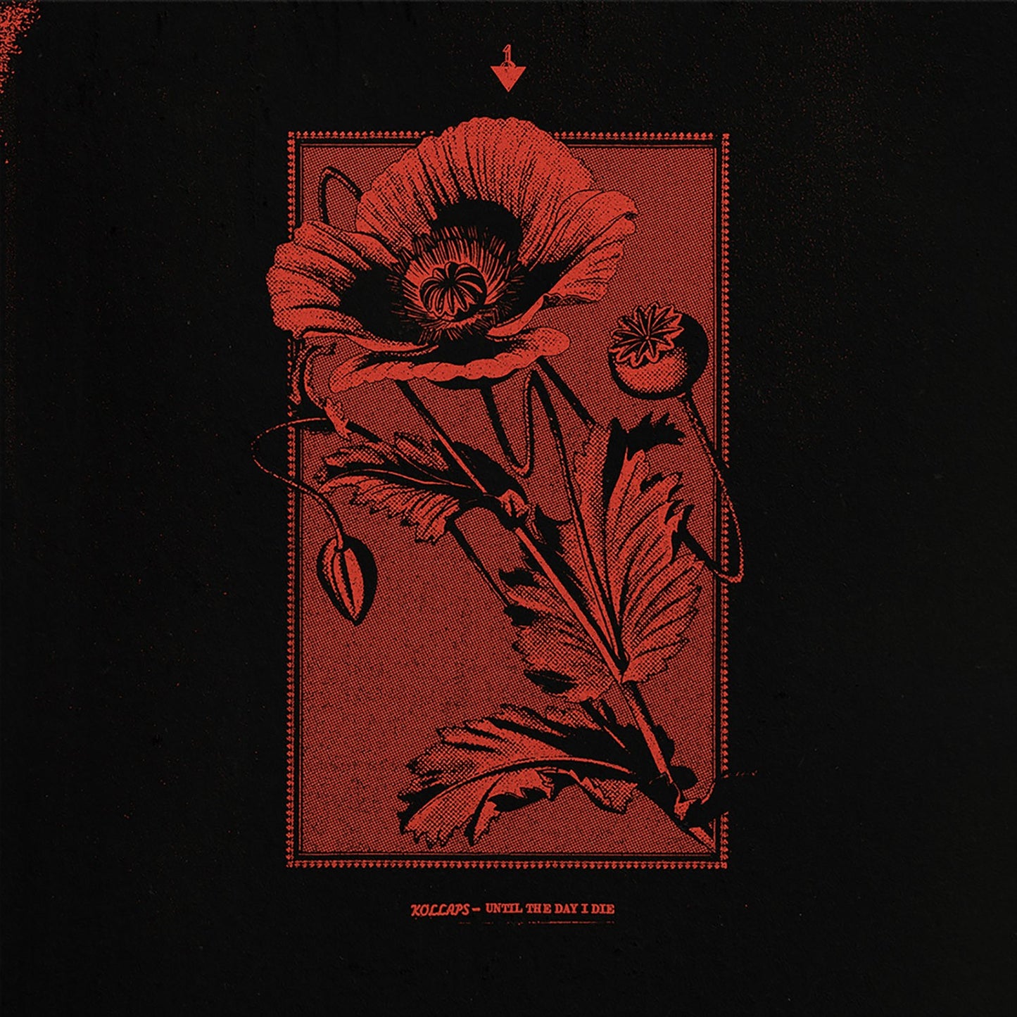 Kollaps - Until The Day I Die [CD]