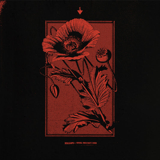 Kollaps - Until The Day I Die [CD]