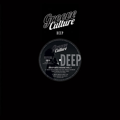 Various Artists - Deep Into House Vol.1