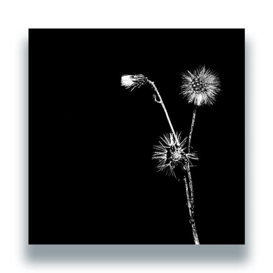 Jon Dasilva and Skyskrapa Feat. Donald Waugh - Sun Brings Joy