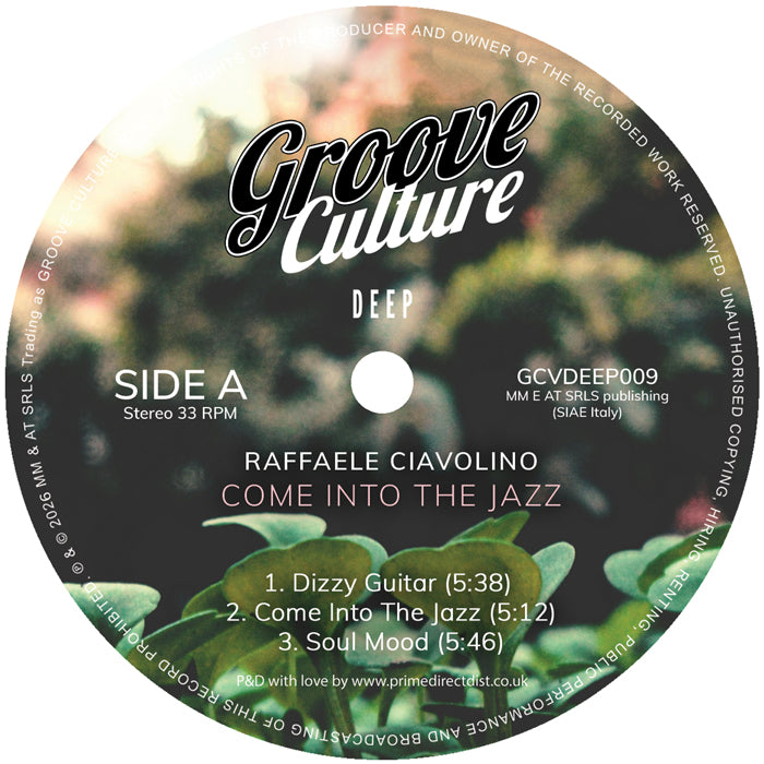 Raffaele Ciavolino - Come Into The Jazz [2LP]