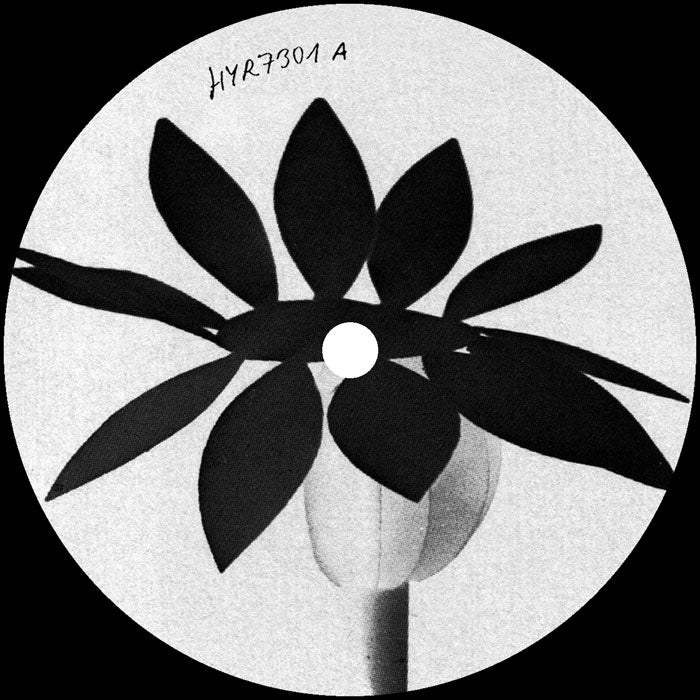 Nathan Dawidowicz - Fluff