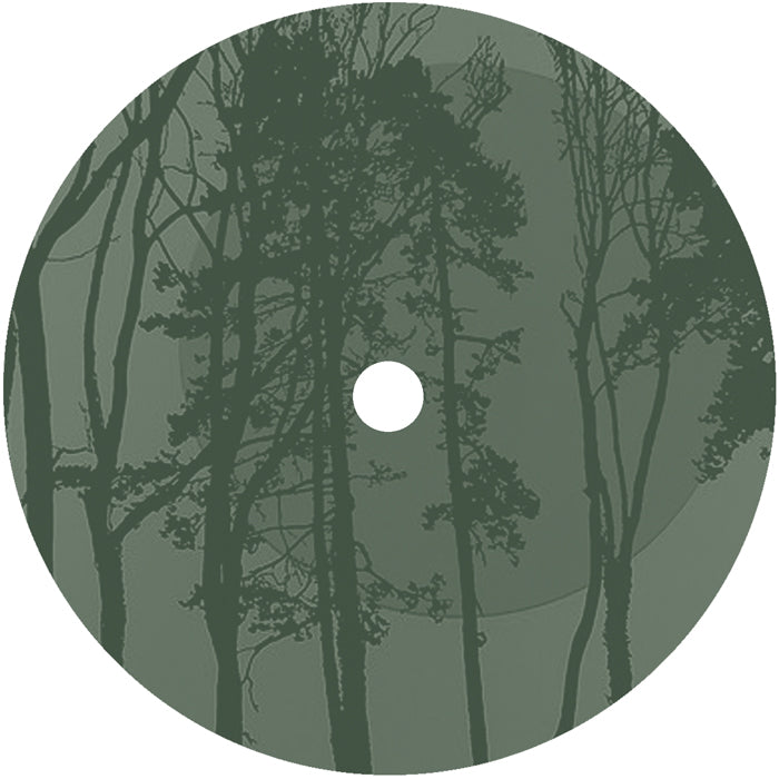 Gareth Cooke / Don Carlos - Dynamik / A Room Coloured