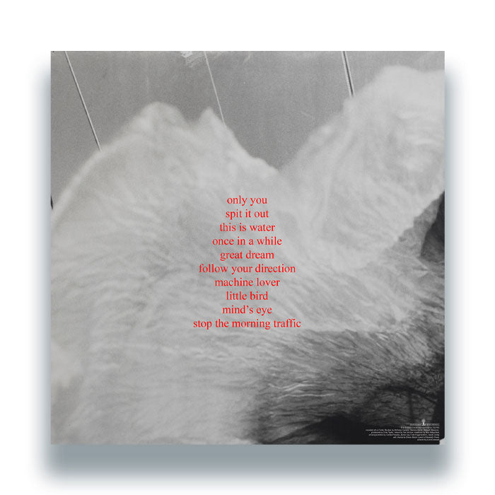 Low Island - Bird [Red LP]