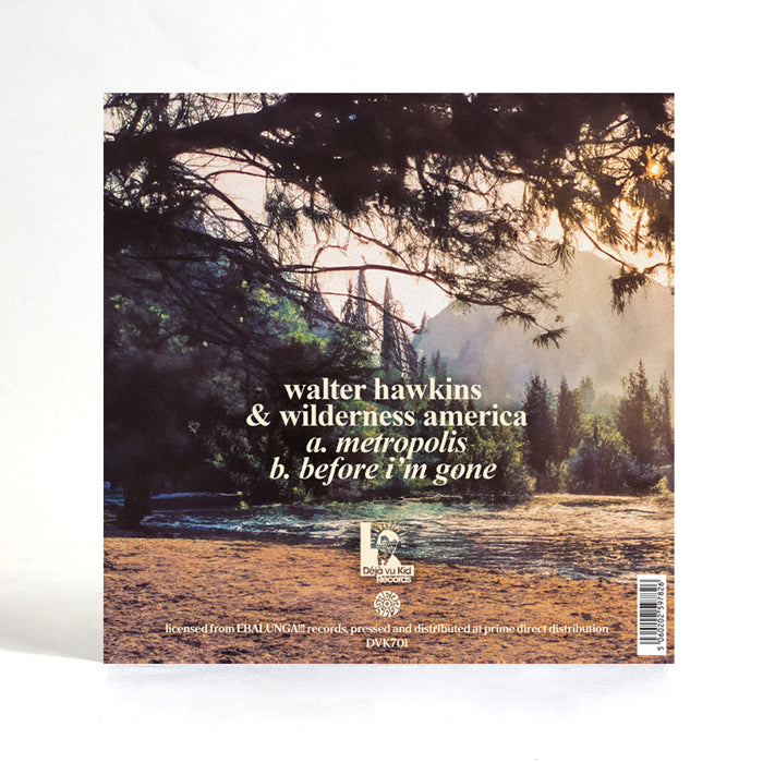 Walter Hawkins & Wilderness America - Metropolis [7" Vinyl]