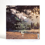 Walter Hawkins & Wilderness America - Metropolis [7" Vinyl]
