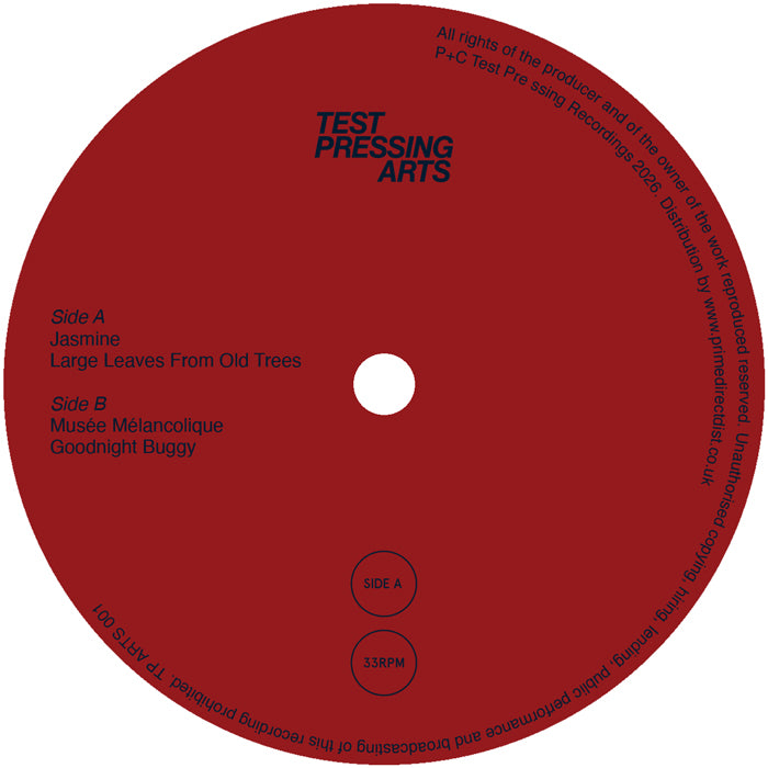 Sulah Jordan - Lady Bug