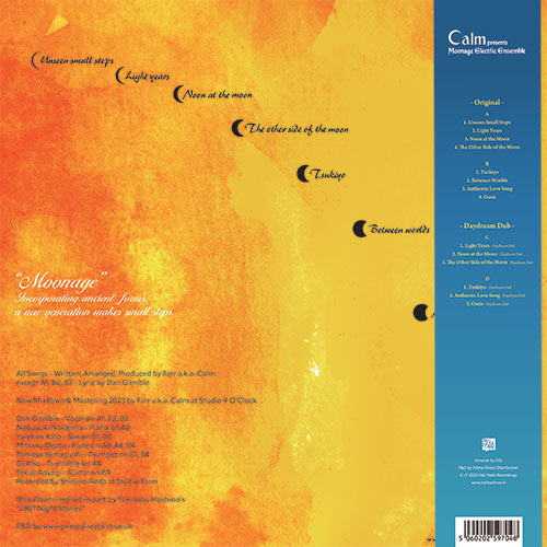 Calm - Moonage Electric Ensemble [2LP]