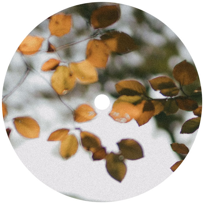 Scrimshire - Bring Our Light To Every Corner
