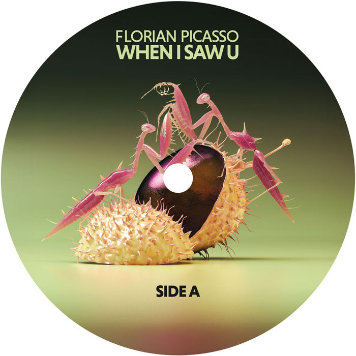 Florian Picasso - When I Saw U