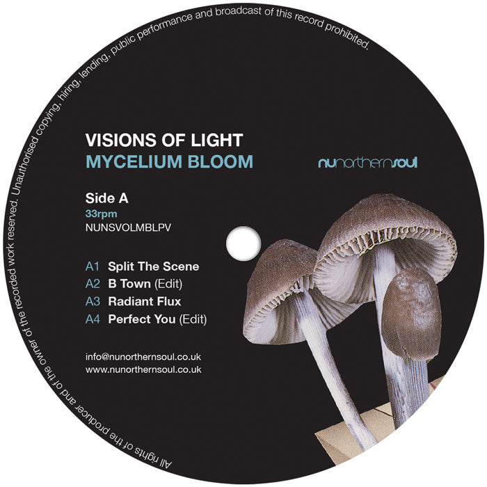 Visions of Light - Mycelium Bloom
